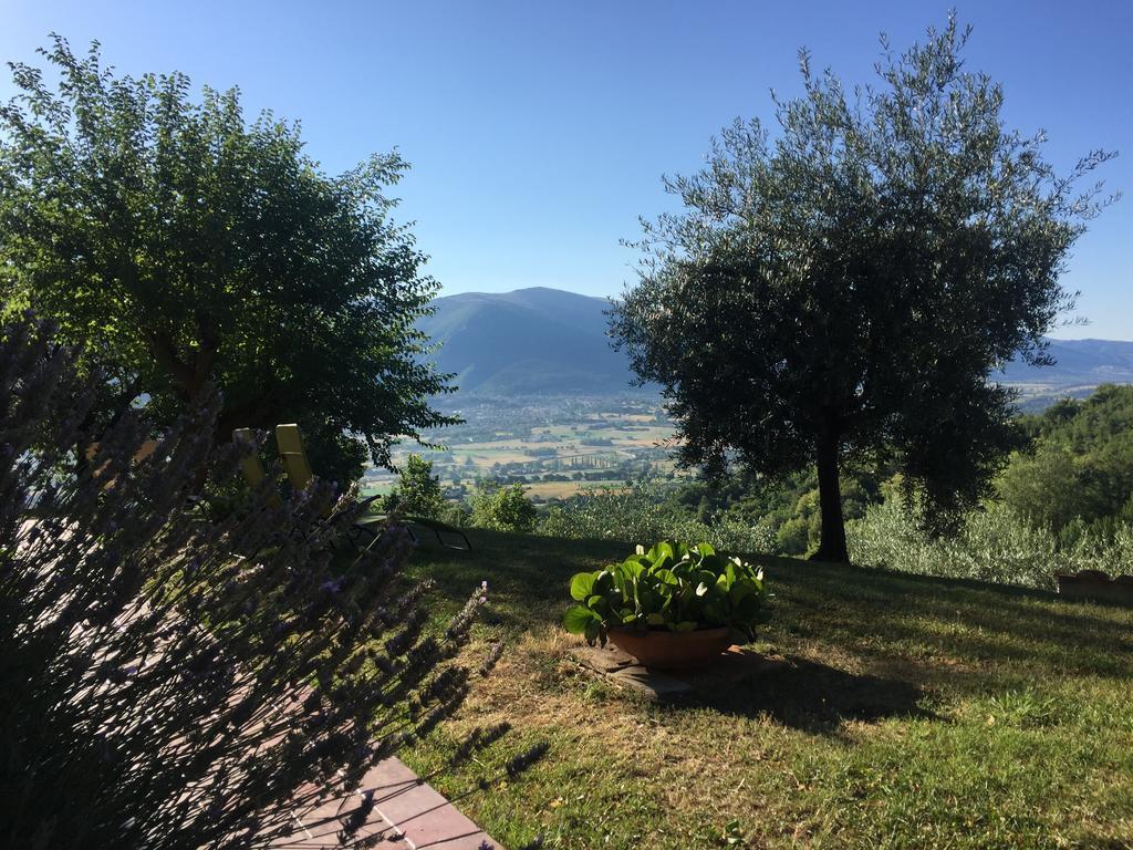 Casale Degli Ulivi Βίλα Gualdo Tadino Εξωτερικό φωτογραφία