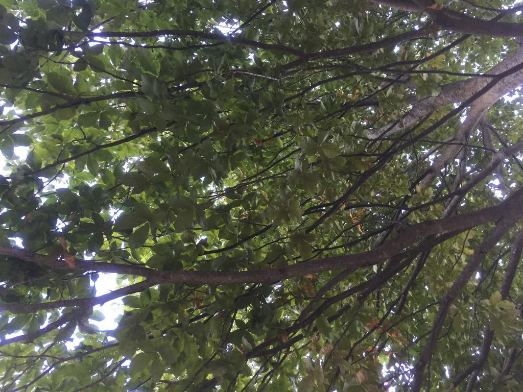 Casale Degli Ulivi Βίλα Gualdo Tadino Εξωτερικό φωτογραφία